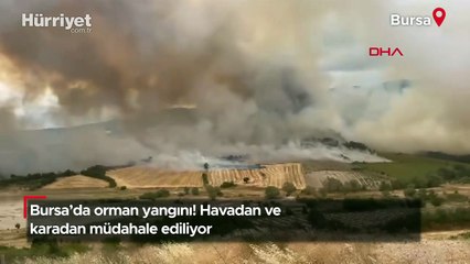 Bursa'da orman yangını! Havadan ve karadan müdahale ediliyor