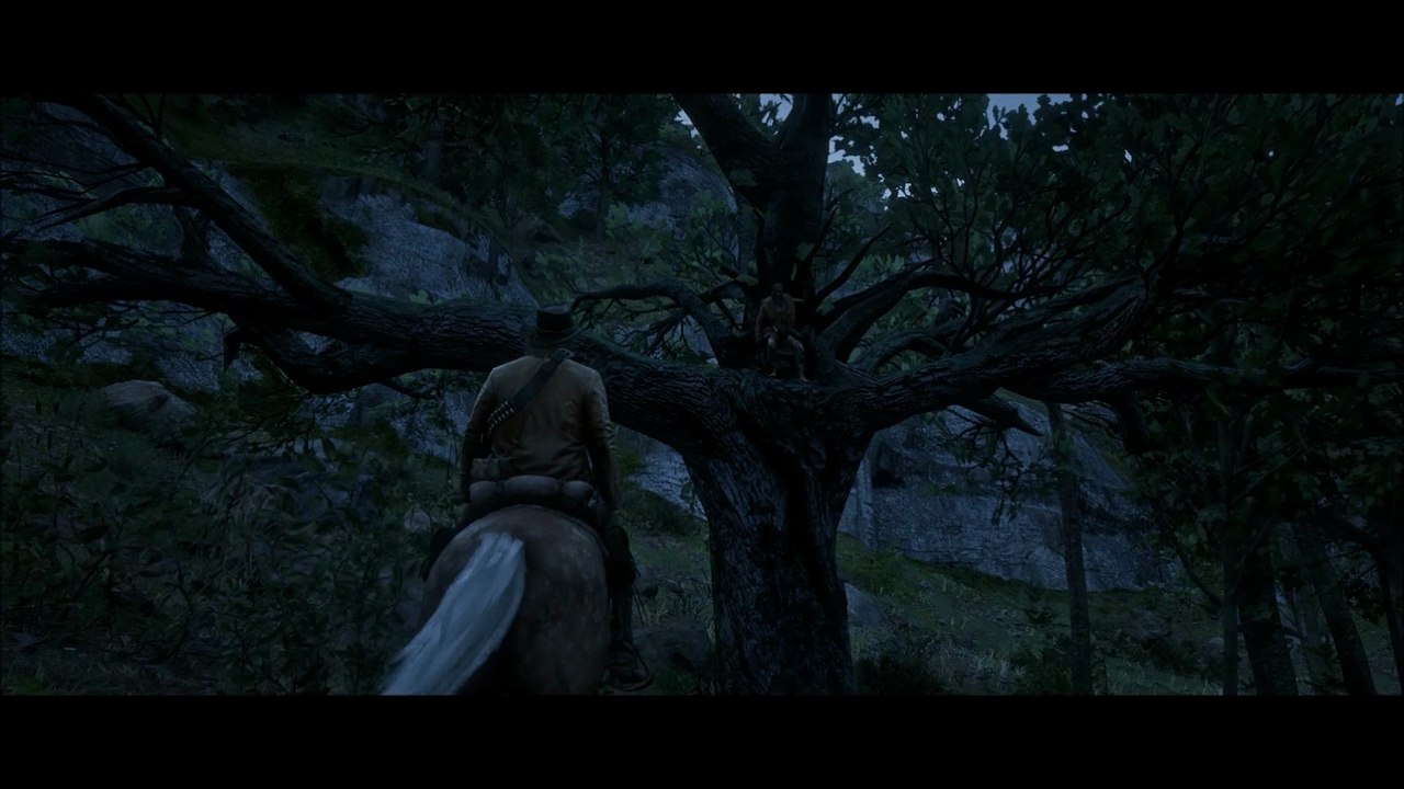 RDR 2: C3 # 25 - Hermit in the Tree (Poor Joe 1st Encounter)