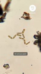 Boire la tasse dans la mer, c'est dangereux ?