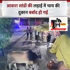 UP : बरेली में आवारा सांडों की लड़ाई में चाय की दुकान बर्बाद हो गई