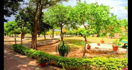 NBS View 4K Ultra HD