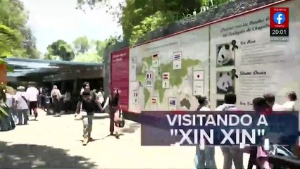 Rocio Nahle presentó a un médico forense falso | Alejandro Domínguez, 31 de julio de 2025