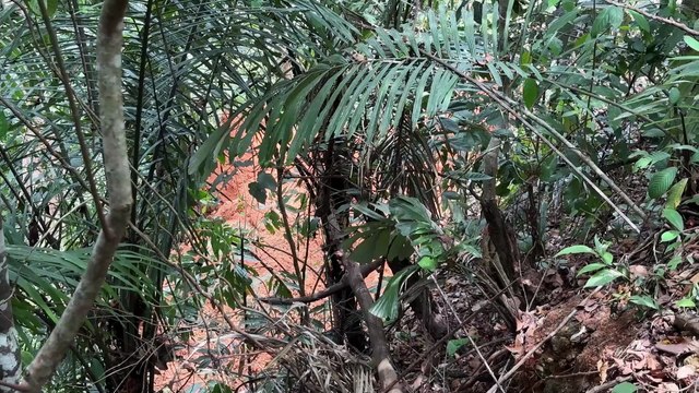 The reliability of the D6R XL Bulldozer for new road projects in the mountains