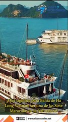 Vietnam espera recibir entre un 20% y un 30% más de turistas