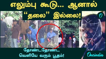 Dharmasthala Case | எலும்பு கூடு... ஆனால் "தலை" இல்லை!...தோண்ட தோண்ட வெளியே வரும் பூதம்!