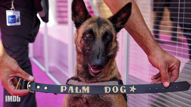 The Last Command (1928)