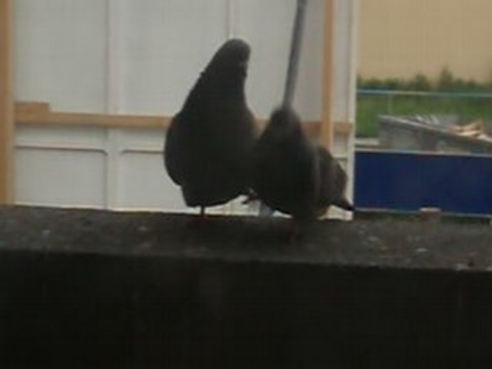 eva et boris