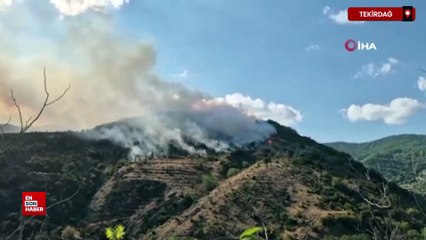 Tekirdağ'da sabah söndürülen yangın, yeniden başladı