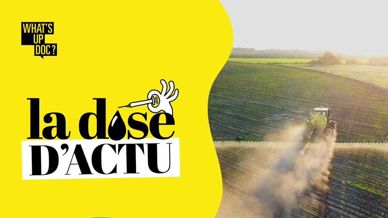 La dose d'actu de la semaine du 1 août
