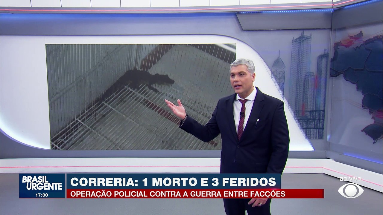 Organizações criminosas usam jacaré para torturar rivais no Rio