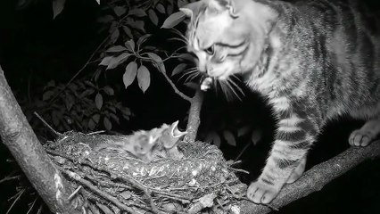 Mother#always mother