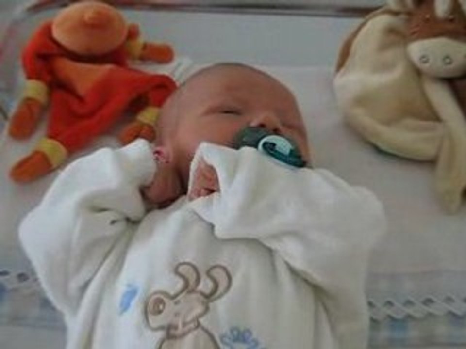 Tristan dort