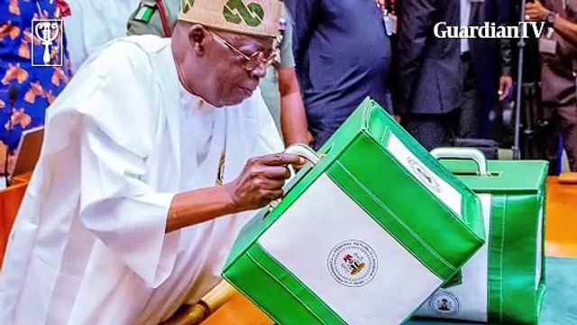 How AI tools can help Nigeria tackle budget padding