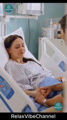 Doblado ESP El Doctor Jefe es el Papi de mi Bebé