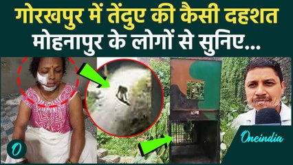 Gorakhpur Tendua Fear: CCTV में दिखा तेंदुआ, Mohanapur के लोग क्या बोले | Bichhiya | वनइंडिया