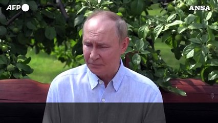 Putin: "Pace garantisca la sicurezza di Russia e Ucraina"