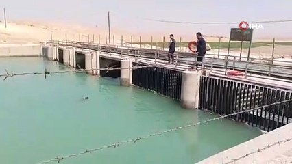 Şanlıurfa’da sulama kanalına düşen köpeği itfaiye kurtardı