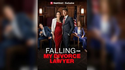 Falling For My Divorce Lawyer