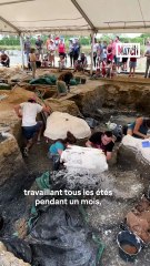 Un dino presque parfait