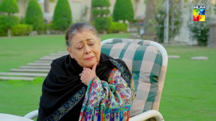 Ism-e-Yaraan - Episode 30 -1st August 2025 [Shahbaz Shigri, Zainab Shabbir &  Azfar Rehman] - HUM TV