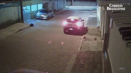 Cadelinha é abandonada em Ceilândia