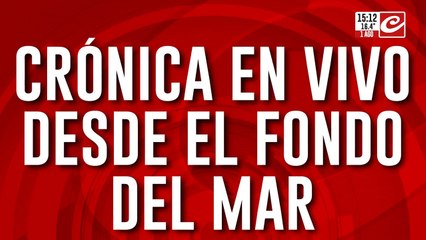Crónica en vivo desde el fondo del mar: el stream que es furor