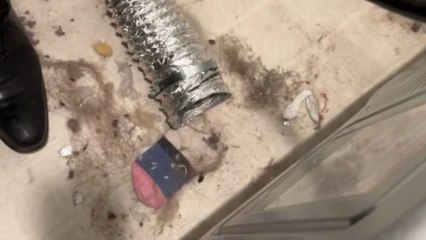 Strange sounds in dryer tube lead to unexpected chaos for couple at home