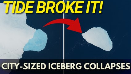Massive Iceberg Breakup in Antarctica Triggered by Tides
