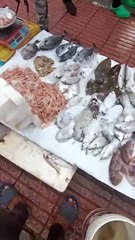 Fish in Morocco In the city of Larache