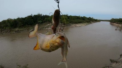 🌧️ Pesca y cocina bajo la lluvia en el río – Pescado frito al aire libre y acampada salvaje 🎣🔥