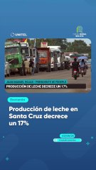Producción de leche en Santa Cruz decrece un 17%
