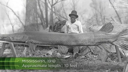 River Monsters S01E03- Alligator Gar