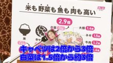 「やる気も体力も知恵もなかったら交代して」やる気のない石破総理に直球投げる櫛渕万里【れいわ新選組」】