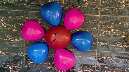 Colour water balloon Reverse #shorts #video #viral #trending #asmr #balloon #shortvideos #Balloonsasmr #satisfying #BalloonPopping