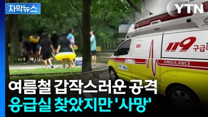[자막뉴스] 목숨 위협하는 아찔한 사고... 여름철 '벌쏘임' 기승 / YTN