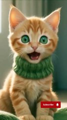 “This Talking Cat Just Changed My Day… OMG 😹💫”