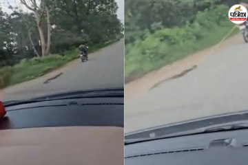 अजगर को रस्सी से बाइक पर बांधकर घसीटा
