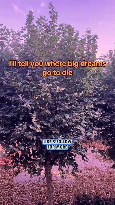 Make your move before you're ready #BR3 #motivationalvideo #lessons #motivational #inspirationalquotes