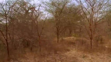 Enorme victoria en el Desafío Final deja a un equipo al borde del abismo