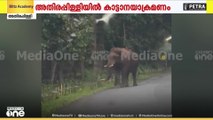 അതിരപ്പിള്ളിയിൽ കാർ ആക്രമിച്ച് കാട്ടാന | elephant attack