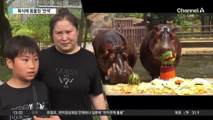 동물도 ‘헉헉’…수박·얼음 특식에 ‘반색’
