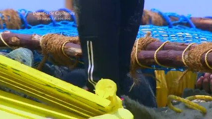 Tino, un herido estratega que tiene dividido a Las Águilas