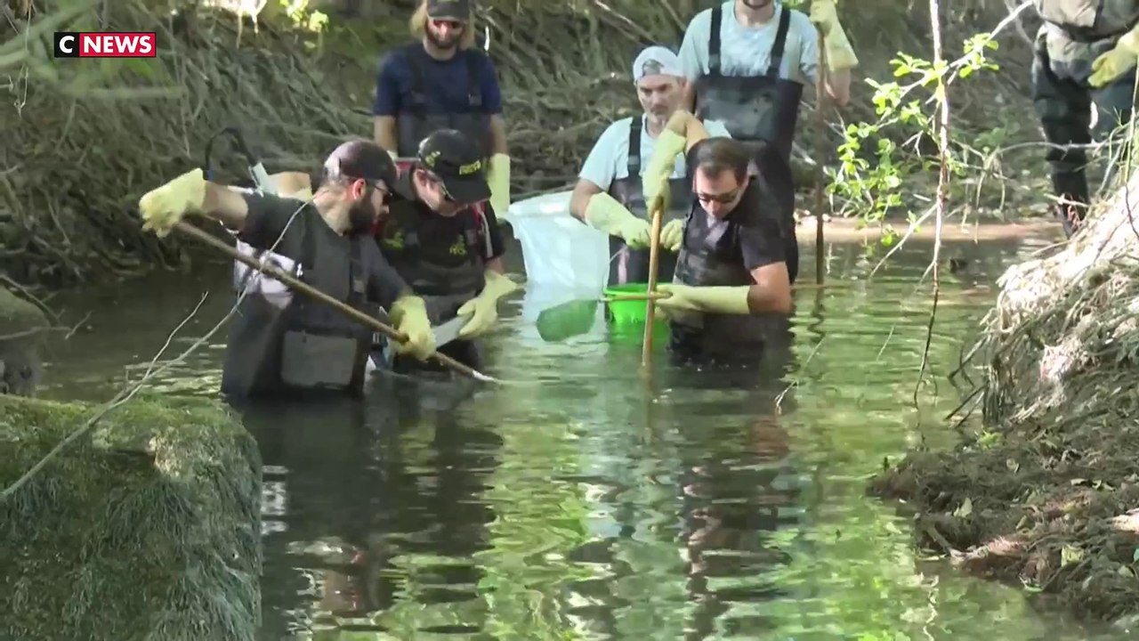 Charente : des pêcheurs bénévoles viennent au secours des poissons de rivière