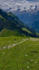 Be Your Own Guru, One Line at a Time