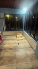 Τα παιχνίδια της οικογένειας Παύλου στις Μαλδίβες