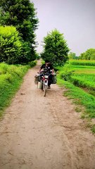 Milkman who pours water into milk