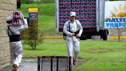 Guillermo empieza a trabajar en la empresa