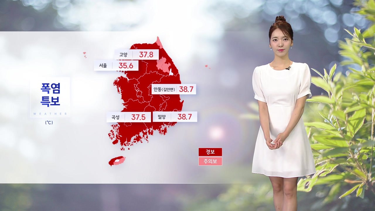 [날씨] 전국 대부분 폭염경보...내륙 곳곳 소나기 / YTN