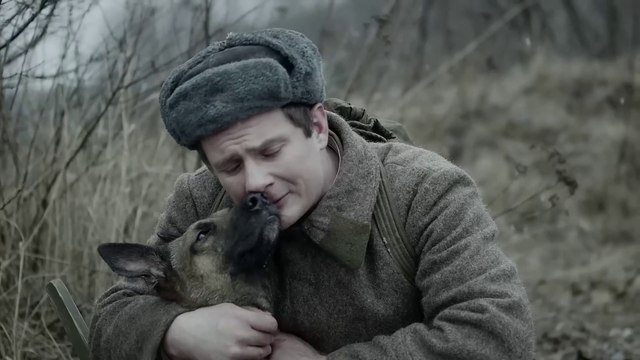 Deep Dive Into History Finding Animals That Committed Horrifying War Crimes