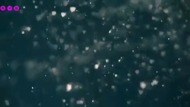 Efter måneder med coronavirus har Sofie Linde fået nok: - Jeg slår op med dig, 2020 | ZULU Comedy Galla 2020 | TV2 ZULU